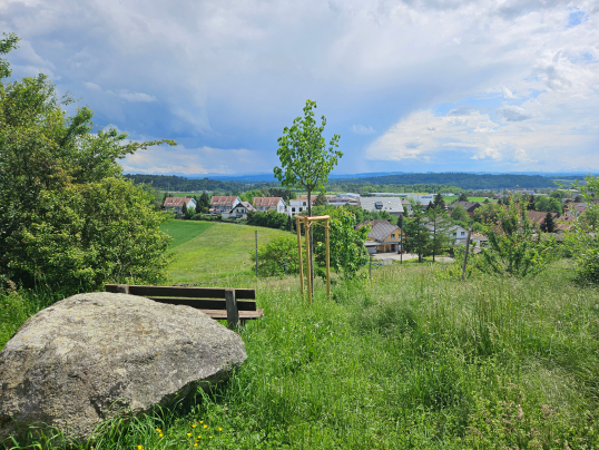 Umgebungsgestaltung auf öffentlichen Flächen