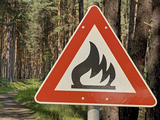 Aktuelle Waldbrandsituation