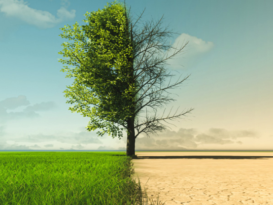 Projekt Klimastrategie