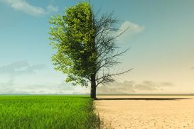 Projekt Klimastrategie